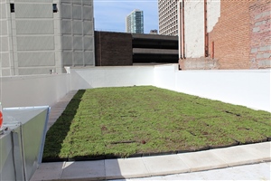 Garden Roofs & PV Panels